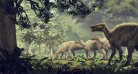 Estudo revela composição do asteroide da extinção dos dinossauros