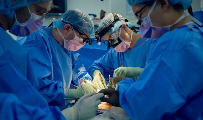 Cientistas avançam em fazer rins de porco funcionarem em humanos