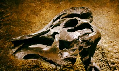 O que a vala comum de dinossauros em Pipestone Creek revela