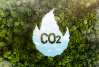 Da Amazônia para o mundo: o futuro do alumínio de baixo carbono