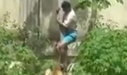 MP da Paraíba investiga morte de jovem atacado por leoa em João Pessoa