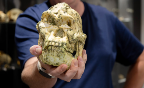 autor-mostrando-crânio-do-little-foot