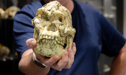 Será que o fóssil Little Foot é uma nova espécie humana ancestral? Entenda