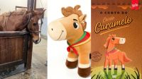 Cavalo Caramelo vira brinquedo e ajuda escolas após enchentes no RS