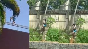 IML divulga causa da morte de jovem atacado por leoa em zoológico; veja