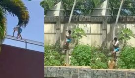 IML divulga causa da morte de jovem atacado por leoa em zoológico; veja