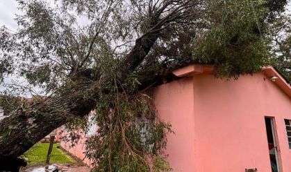 Temporal deixa ao menos 60 casas destelhadas em Encruzilhada do Sul (RS)