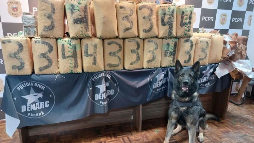 Dois homens, de 32 e 30 anos, foram presos em flagrante por tráfico de drogas • Divulgação/PCPR