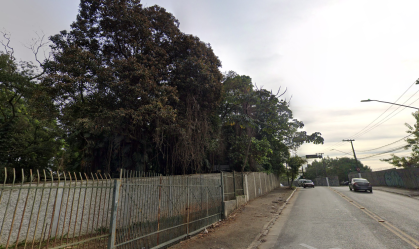 Funcionário da Prefeitura morre após ser atingido por árvore em São Paulo