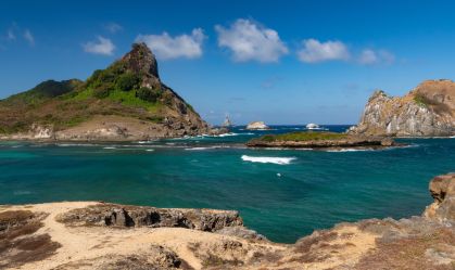 Tubarão-limão é flagrado predando espécie invasora inédita em Noronha