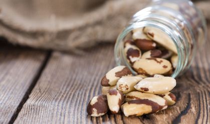 Farinha de castanha-do-Pará é 60% mais proteica que a de trigo, diz estudo