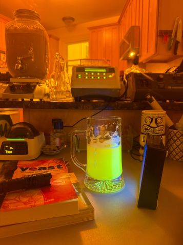 Cerveja vacinal em ambiente de laboratório doméstico • Chris Buck/Reprodução