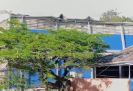 SP amanhece com mais de 1,5 mi locais sem luz após dia de vendaval