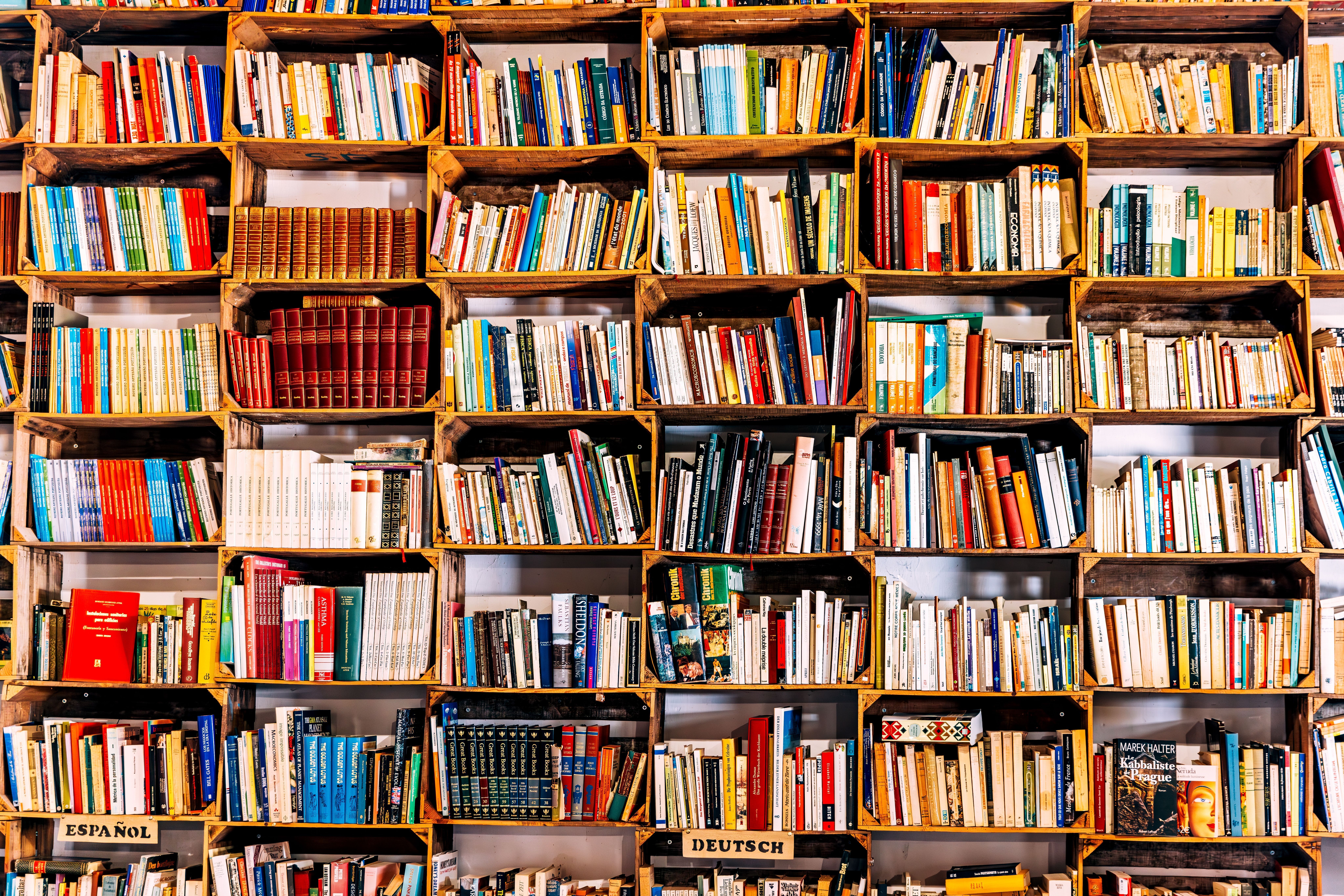 Shelves with books in a book store