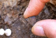 Arqueólogos descobrem fogo mais antigo já feito por humanos