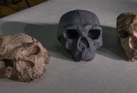 "Homem-Dragão": maior mistério da evolução humana começa a ser desvendado