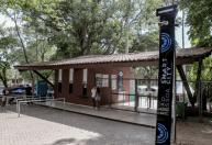 Zoológico em que jovem foi morto por leoa é reaberto com câmeras de IA