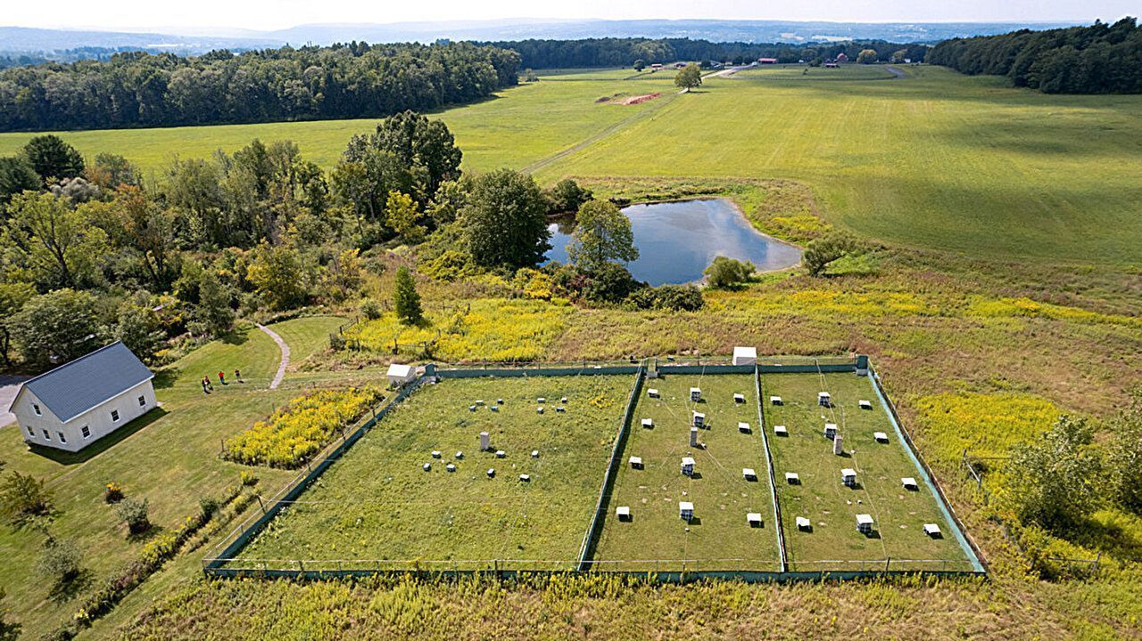 paisagem-com-laboratórios-a-céu-aberto-na-natureza