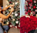 Virgínia, Paolla Oliveira e outros famosos mostram decoração de Natal