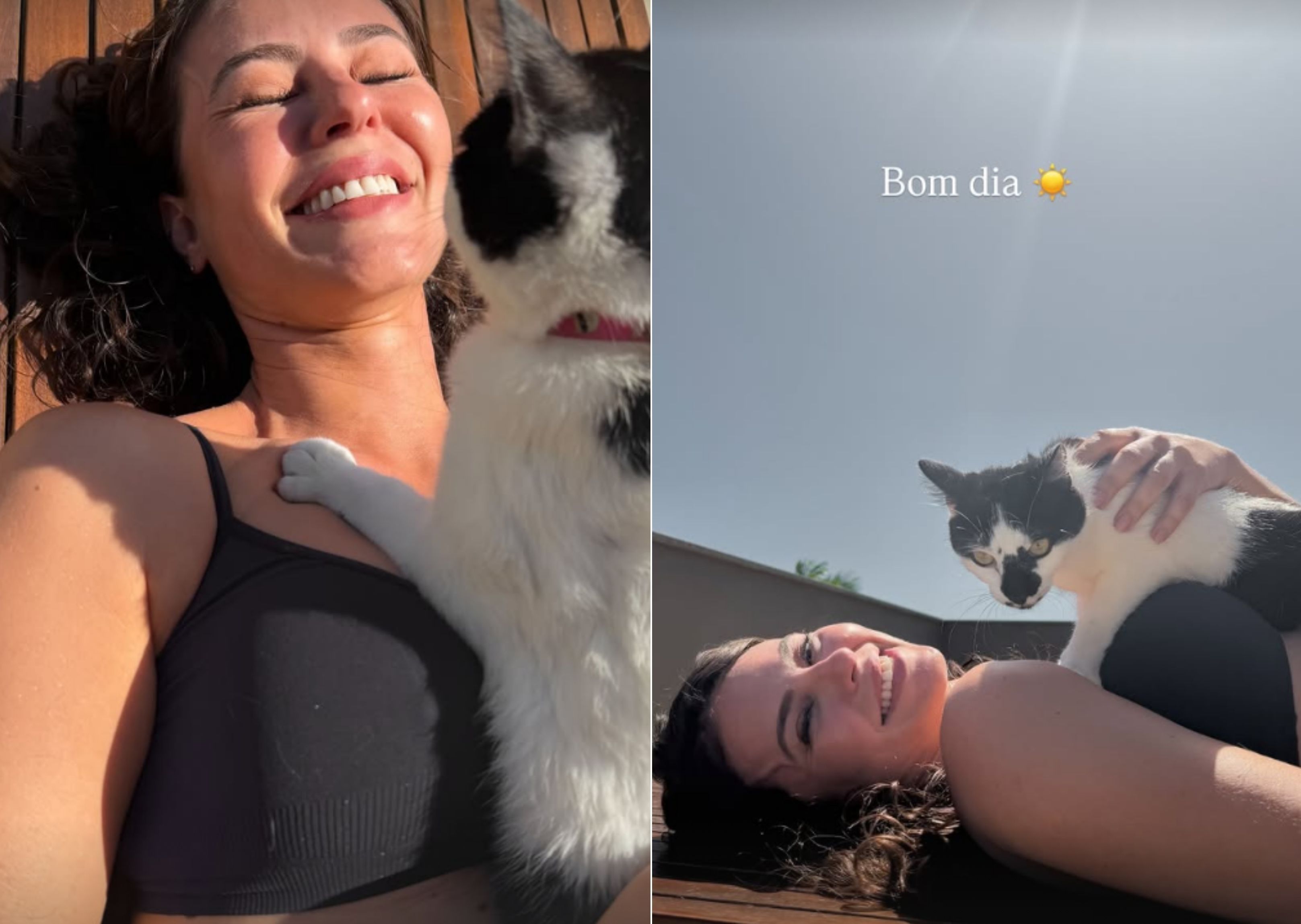 Solteira, Paolla Oliveira curte dia de sol com um de seus gatos • Reprodução/Instagram