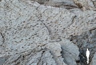 Milhares de pegadas de dinossauros são encontradas em penhascos na Itália