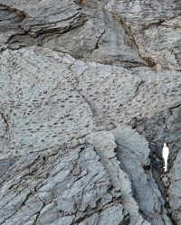 Milhares de pegadas de dinossauros são encontradas em penhascos na Itália