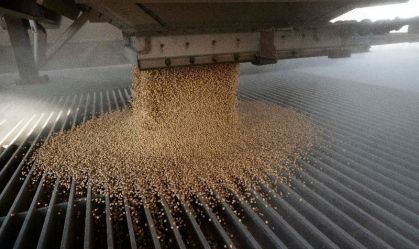 Argentina Grassi assumirá controle da processadora de grãos Vicentin