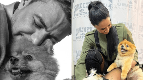 Casal lamentou a partida de sua cachorrinha, Mia, de 16 anos