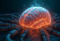 Bactérias do intestino ajudaram o cérebro humano a evoluir; entenda