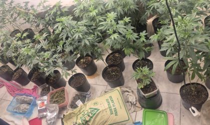 Estufa de maconha é descoberta dentro de imóvel em Salvador; homem é preso