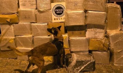 Caminhões com mais de uma tonelada de maconha são apreendidos em Sergipe