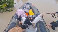 Vídeo: Cachorros são resgatados em inundações na Espanha