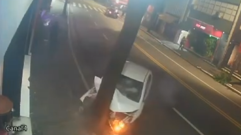 carro bate árvore