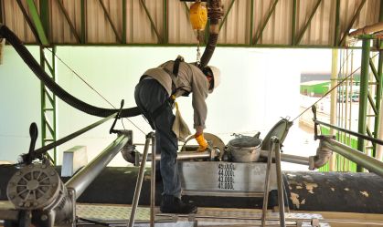 Setor de Biocombustíveis