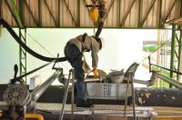 Setor do biodiesel alerta sobre riscos de liberar importação no Brasil