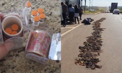 PRF apreende tirzepatida e fios de cabelo com passageiras no Paraná