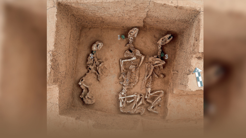 Pesquisadores da Academia Chinesa de Ciências Sociais encontraram fossas de 3.000 anos com restos mortais de grandes felinos, que sugerem a existência de um "zoológico" antigo na China