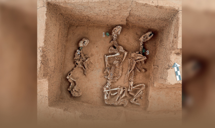 Resto de antigo "zoológico" com animais de 3 mil anos é encontrado na China