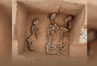 Resto de antigo "zoológico" com animais de 3 mil anos é encontrado na China