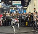 CES 2026: robôs dominaram a maior feira de tecnologia do mundo