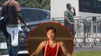 Harry Styles: fãs relatam agressão e falta de ingressos em fila presencial