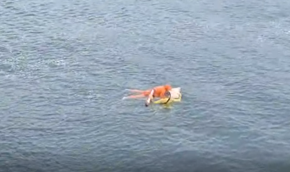 Pescador agarrado à porta de geladeira sobrevive a naufrágio; veja vídeo