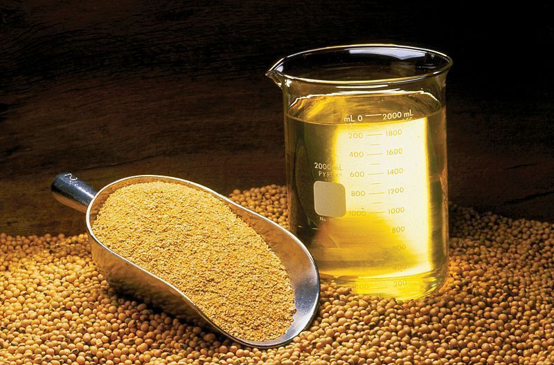 Imagem de destaque do post: Brasil lança estratégia global para fortalecer biodiesel e biocombustíveis