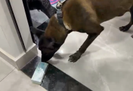 PF mira tráfico internacional de drogas ligado ao PCC em São Paulo