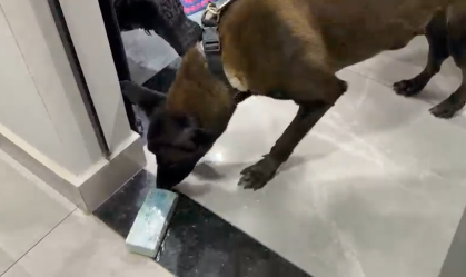 PF mira tráfico internacional de drogas ligado ao PCC em São Paulo