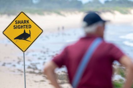 Placas de aviso foram instaladas e praias estão fechadas após ataques de tubarão em Sydney