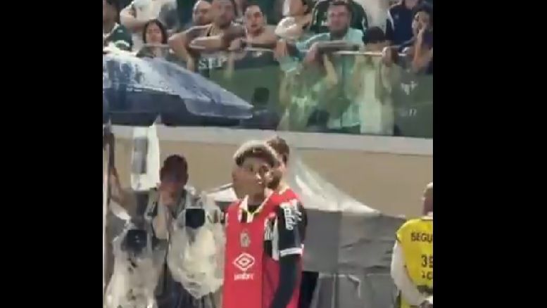 Robinho Jr é hostilizado durante jogo entre Palmeiras e Santos