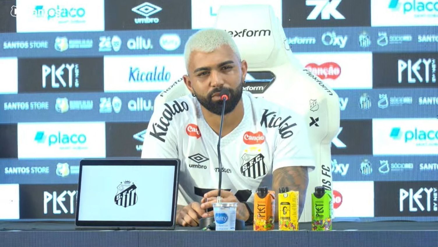 Gabigol, reforço do Santos