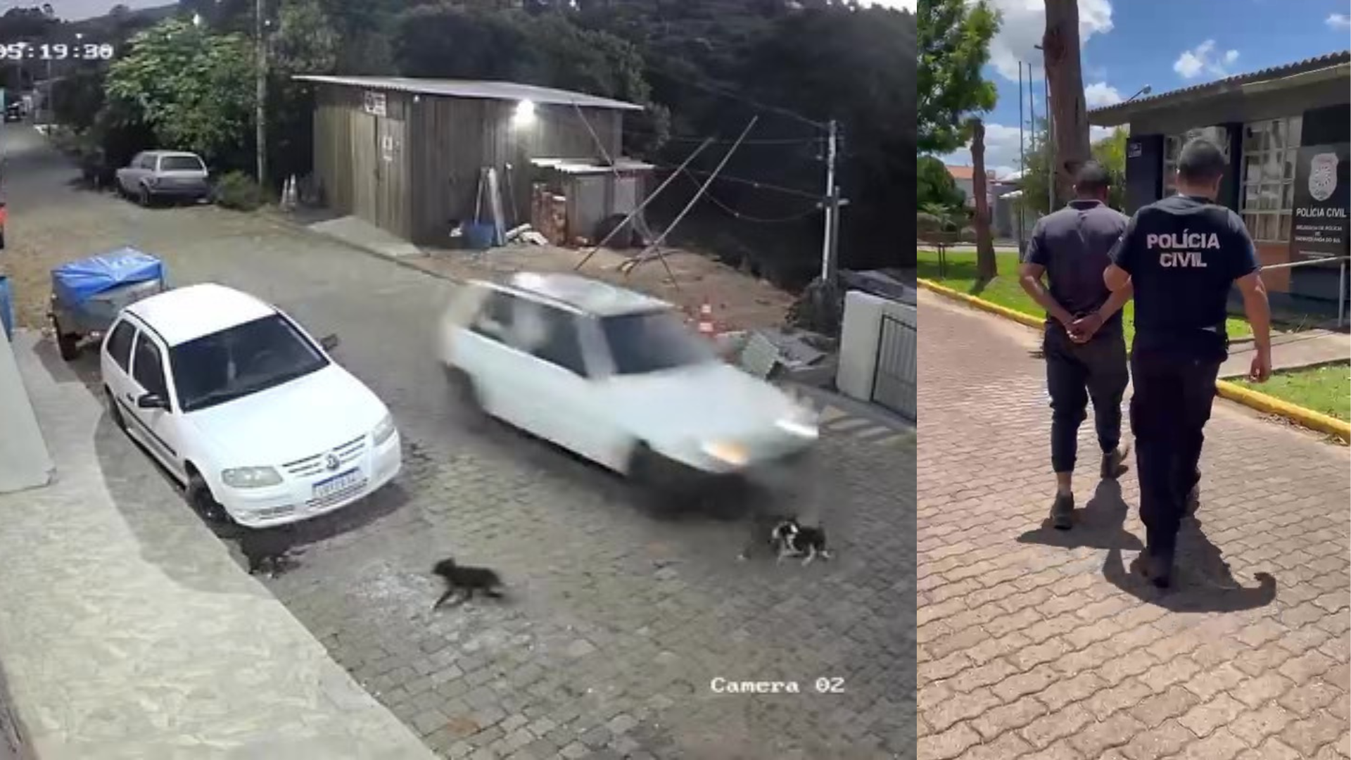 Homem que confessou atropelar cães de propósito vira réu no RS
