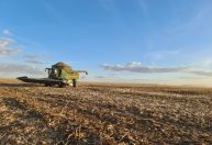 Recuperações extrajudiciais no agro sobem, mas total de processos é menor